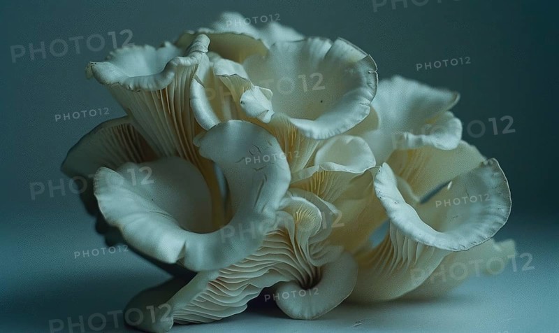 Oyster mushrooms on a marble table. Selective focus AI generated