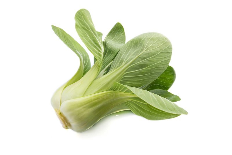 Fresh green bok choy or pac choi chinese cabbage isolated white background. Side view, close up