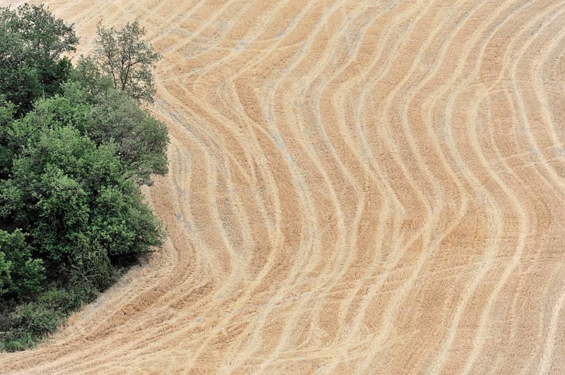 Harvested fields south of Siena, Crete Senesi, Tuscany, Italy, Europe
