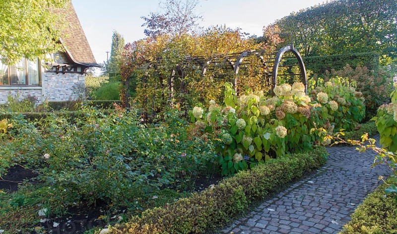 Park with green lawn, trees trimmed bushes and natural stone path in autumn. Modern landscape design