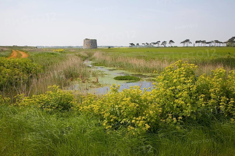 Martello tower stands in field at Alderton, Suffolk, England, United Kingdom, Europe