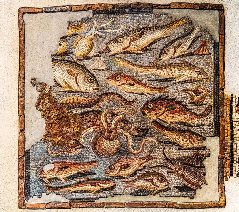 Mosaic with fish, 1st century, National Archaeological Museum, Villa Cassis Faraone, UNESCO World Heritage Site, important city in the Roman Empire, Aquileia, Friuli, Italy, Aquileia, Friuli, Italy, Europe
