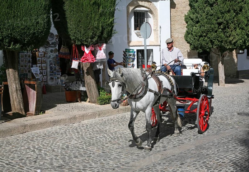 Tourist horse and carriage ride around the old city of Ronda, Spain, Europe