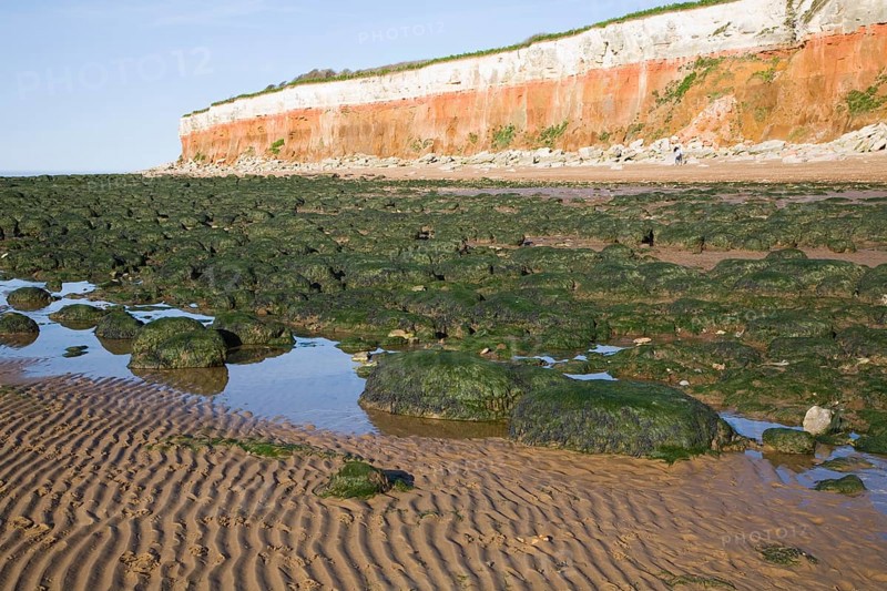 Chalk, red chalk and carstone form striped cliffs of white, red and orange at Hunstanton, Norfolk, England, United Kingdom, Europe