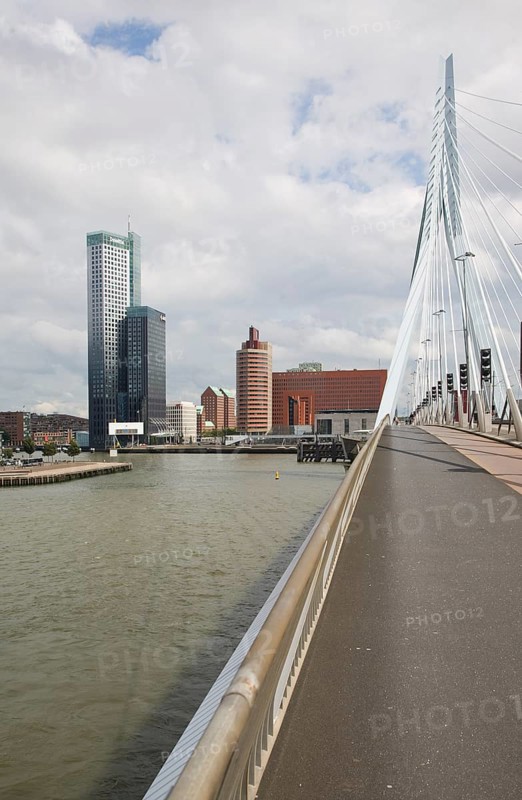 Erasmusbrug, Erasmus Bridge, spanning the River Maas, Rotterdam, Nethrlands