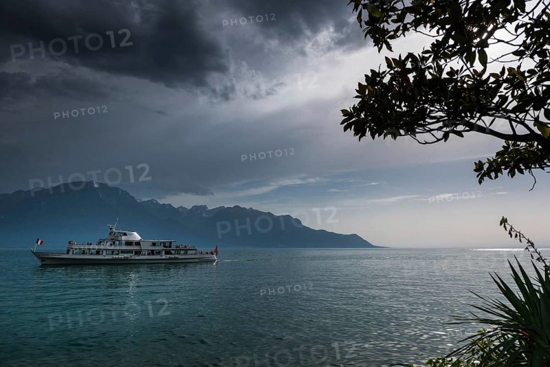 Lake Geneva, thunderstorm, summer, rain, dramatic, dark sky, weather, palm tree, climate boat, excursion steamer, travel, holiday, Alps, Montreux, Vaud, Switzerland, Europe