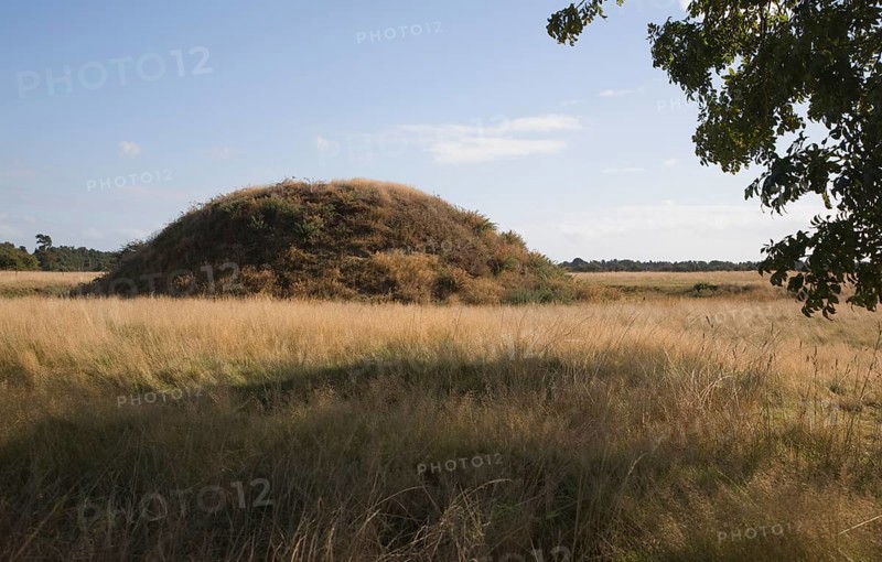 Burial mound at the Anglo Saxon archaeological site of Sutton Hoo, Suffolk, England, United Kingdom, Europe