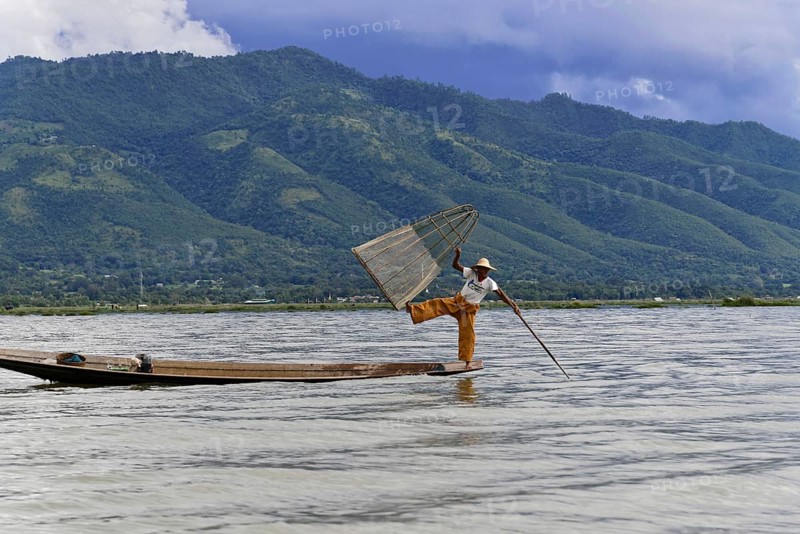 Intha fisherman, local man fishing with traditional conical fishing net, Inle Lake, Burma, Myanmar, Asia