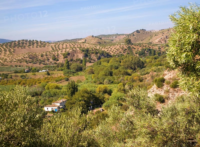 Fertile green valley farmland near Zahara de la Sierra, Cadiz province, Spain, Europe