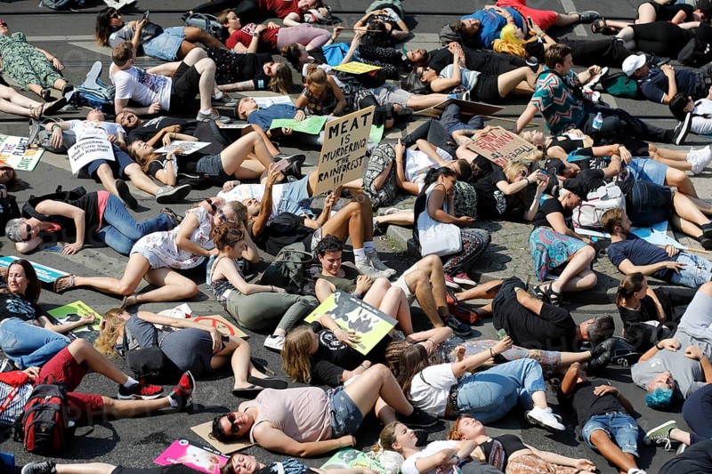 Mass die In, at the Official Animal Rights March demo at Rosenthaler Platz in Berlin. The Animal Rights March is a demonstration of the vegan community for animal protection and animal rights, 25 August 2019