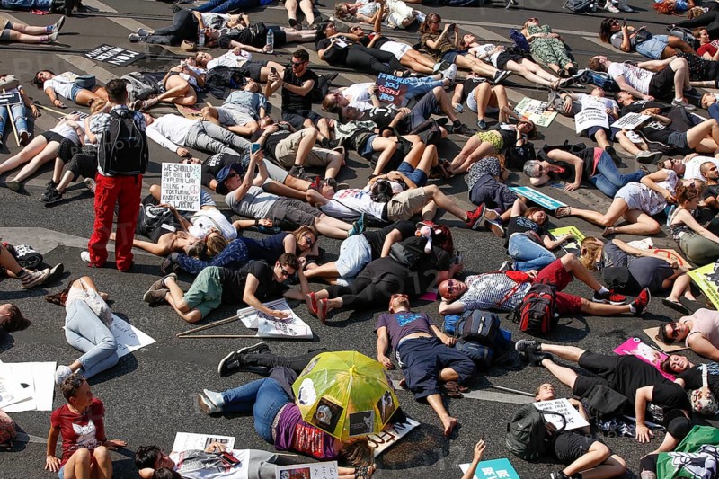Mass die In, at the Official Animal Rights March demo at Rosenthaler Platz in Berlin. The Animal Rights March is a demonstration of the vegan community for animal protection and animal rights, 25 August 2019