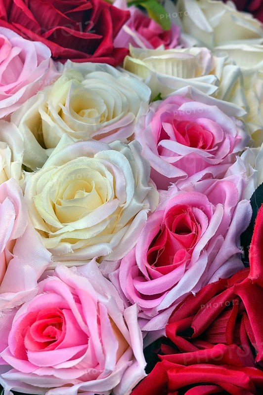 Artificial roses, Bavaria, Germany, Europe