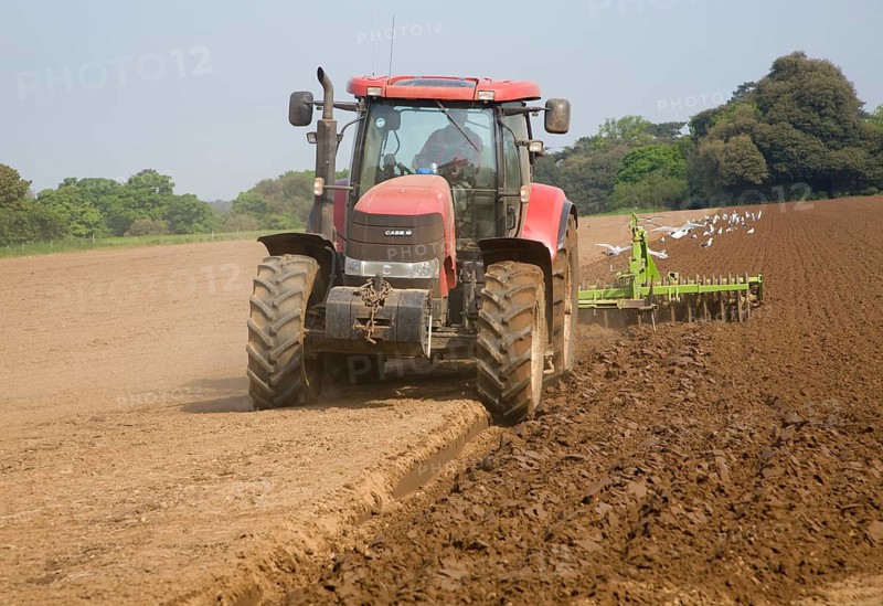 Tractor harrowing soil in field in preparation for planting, Shottisham, Suffolk, England, United Kingdom, Europe