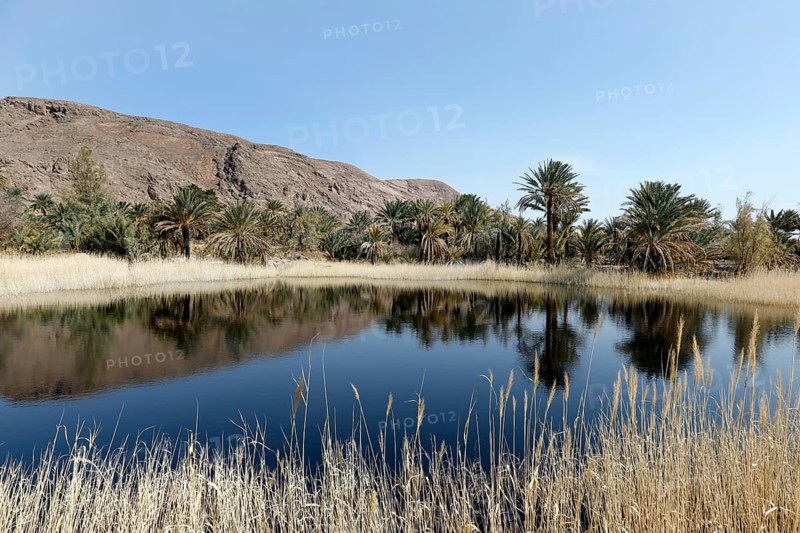 An oasis in the middle of Iran's central desert, Gameh, 12.03.2019