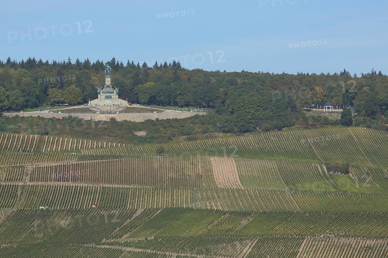 View of UNESCO Niederwald Monument with vineyards, landscape, wine-growing area, Niederwald Monument, Ruedesheim, Rheingau, Taunus, Hesse, Upper Middle Rhine Valley, Middle Rhine Valley, Germany, Europe