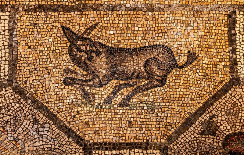 Mosaics, crypt of the excavations from the 4th century, Crypta degli Scavi, Basilica of Aquileia from the 11th century, largest floor mosaic of the Western Roman Empire, UNESCO World Heritage Site, important city in the Roman Empire, Friuli, Italy, Aquileia, Friuli, Italy, Europe