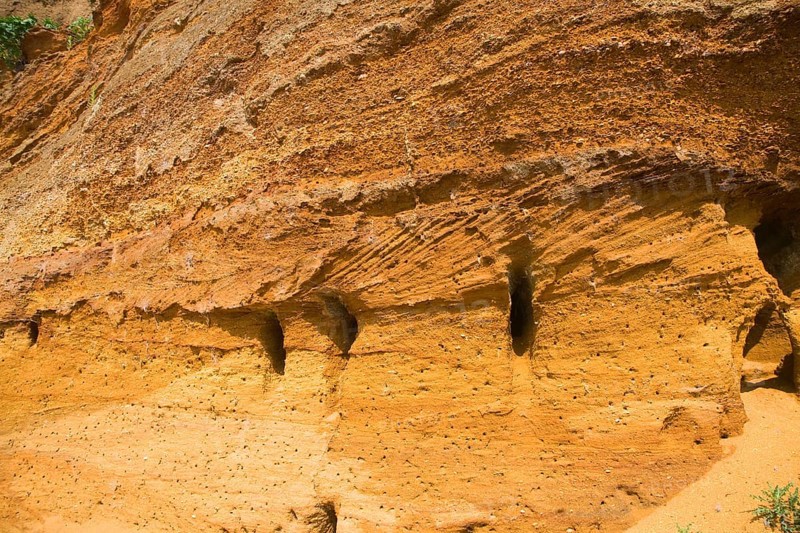 Red crag rock exposed at Buckanay Pit quarry, Alderton, Suffolk, England, United Kingdom, Europe