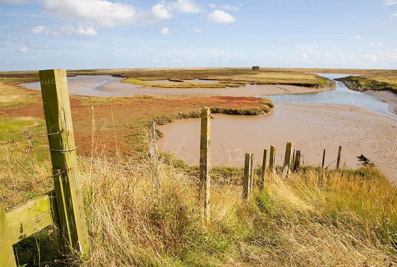 Mudflats and saltings vegetation on the tidal River Ore behind Orford ness shingle spit, Suffolk, England, United Kingdom, Europe