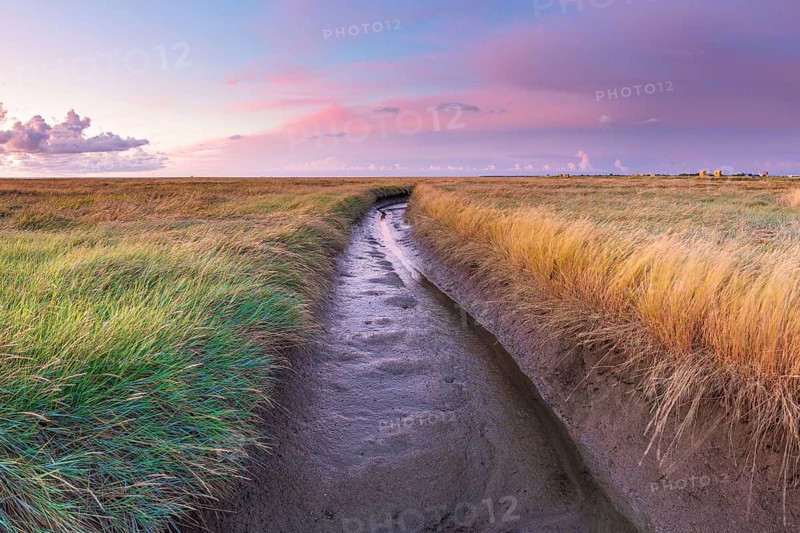 Moat in the polder area on the North Sea, landscape format, evening light, sunset, Dorum, Landwursten, North Sea coast, Lower Saxony, Germany, Europe