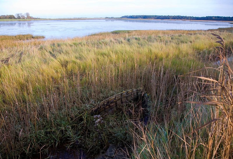 Walberswick National Nature reserve wetland environment marshes Blythburgh, Suffolk, England, United Kingdom, Europe