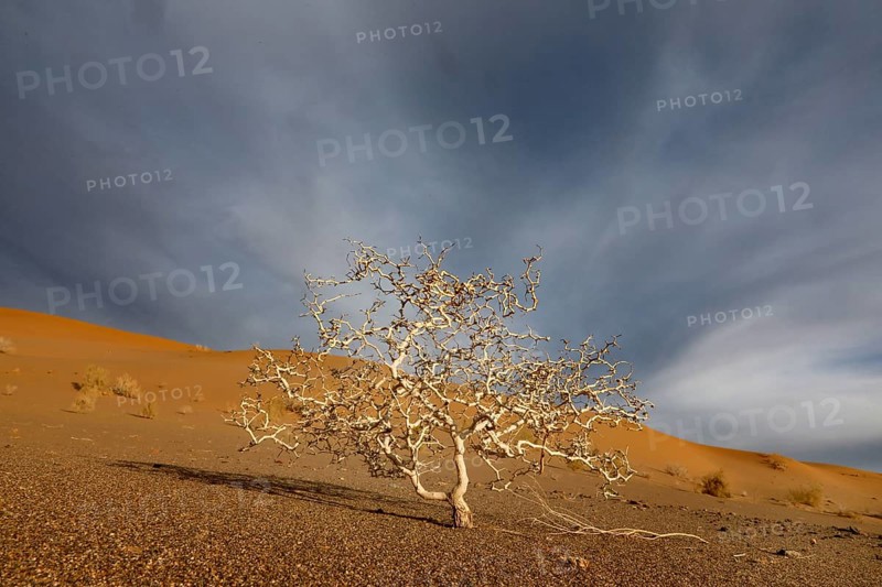 Mesr Desert in Iran. The Mesr Desert is part of the central Dashte-Kavir desert, 12.03.2019