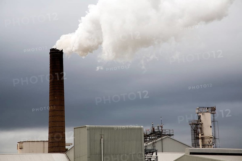 Steam rising from chimneys as sugar beet is processed at the British Sugar factory, Bury St Edmunds, Suffolk, England, United Kingdom, Europe