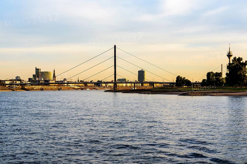 View of a city with a suspension bridge over a river at dusk, Theodor-Heuss-Bruecke, Duesseldorf, North Rhine-Westphalia