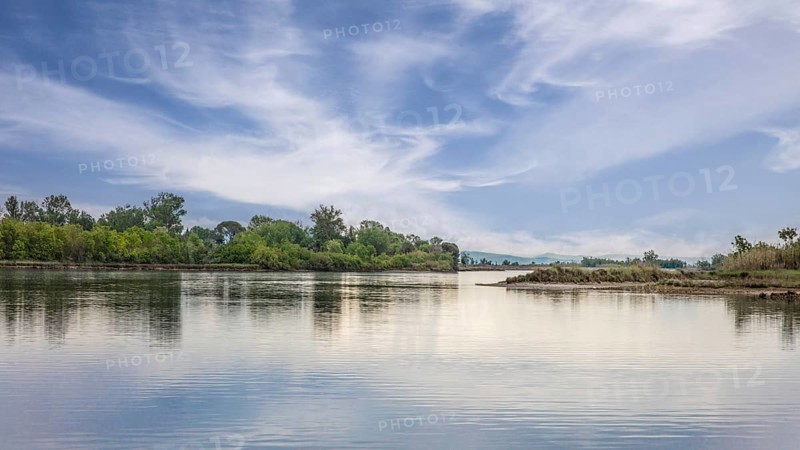 Isola della Cona, nature reserve, island of Grado, north coast of the Adriatic Sea, Friuli, Italy, Grado, Friuli, Italy, Europe
