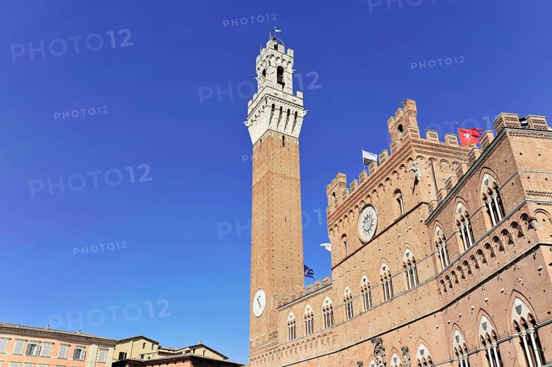 View of the Torre del Mangia bell tower, Siena, Tuscany, Italy, Europe