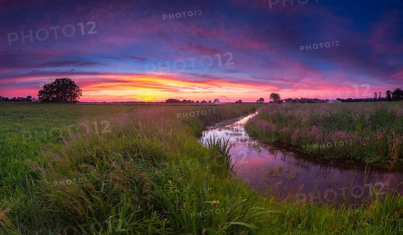 Landscape photo of a moat at sunset, wind, landscape format, evening light, landscape photography, nature photography, Brokeloh, Nienburg Weser, Lower Saxony, Germany, Europe