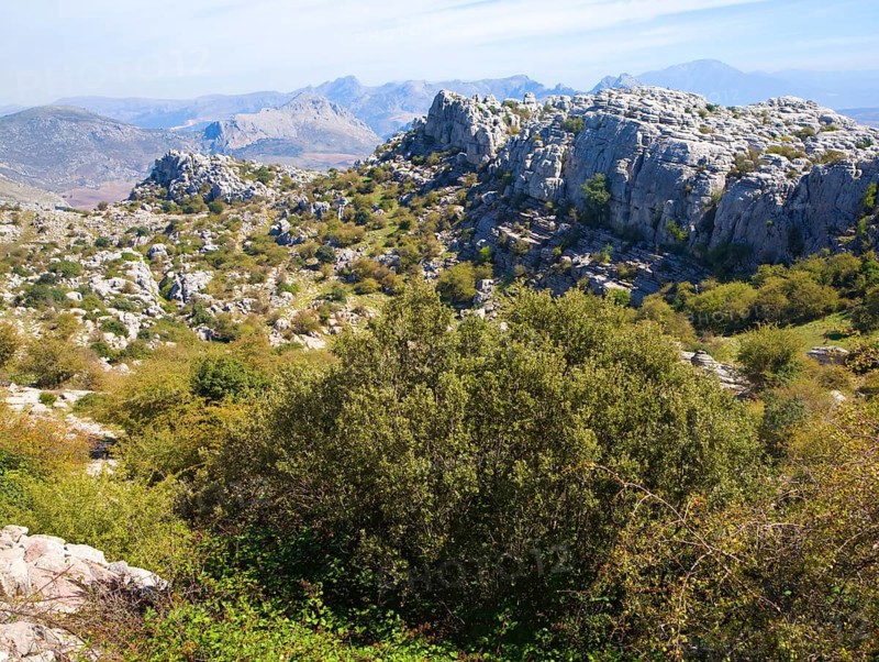 Dramatic limestone scenery of rocks shaped by erosion and weathering at El Torcal de Antequera national park, Andalusia, Spain, Europe