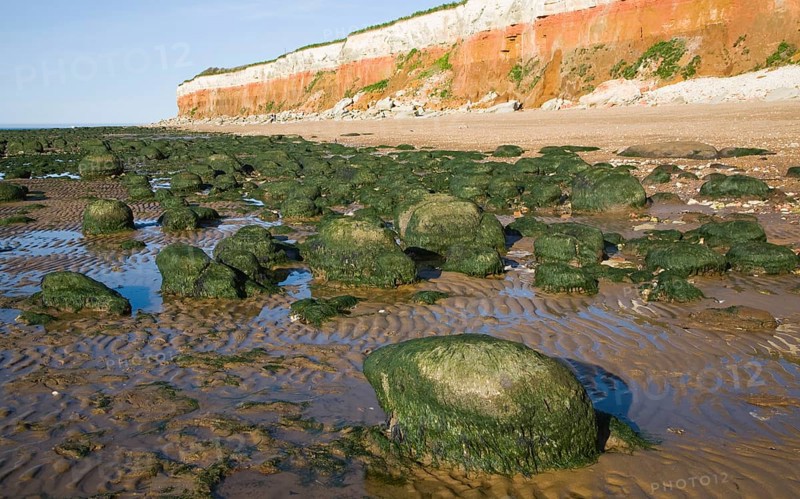 Chalk, red chalk and carstone form striped cliffs of white, red and orange at Hunstanton, Norfolk, England, United Kingdom, Europe