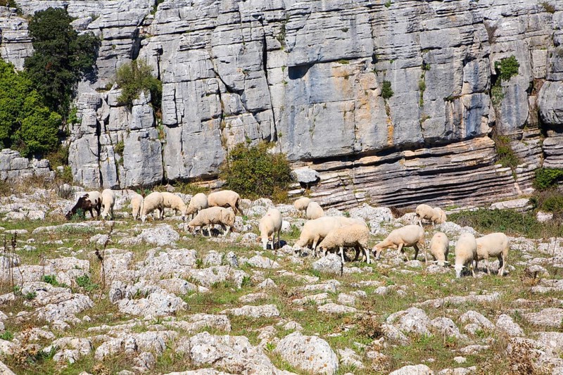Dramatic limestone scenery of rocks shaped by erosion and weathering at El Torcal de Antequera national park, Andalusia, Spain, Europe