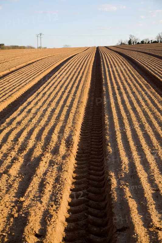 Patterns in soil prepared for sowing crops, Alderton, Suffolk, England, United Kingdom, Europe