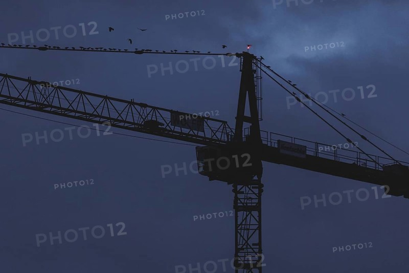 A crane works at blue hour in Berlin, 20/02/2024