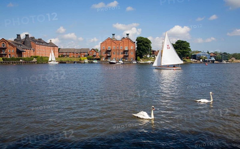 Boats on Oulton Broad, Suffolk, England, United Kingdom, Europe