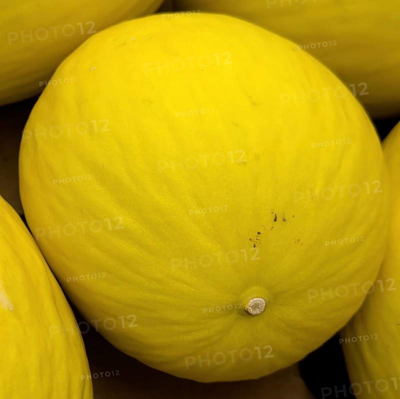 Honeydew melon on display in grocery shop grocery retailer supermarket, Germany, Europe
