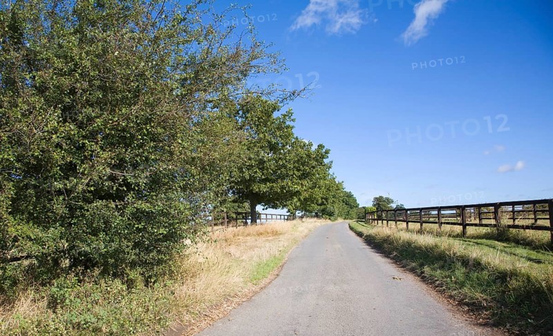 Quiet country road with hedgerow and fence, Ewarton, Suffolk, England, United Kingdom, Europe