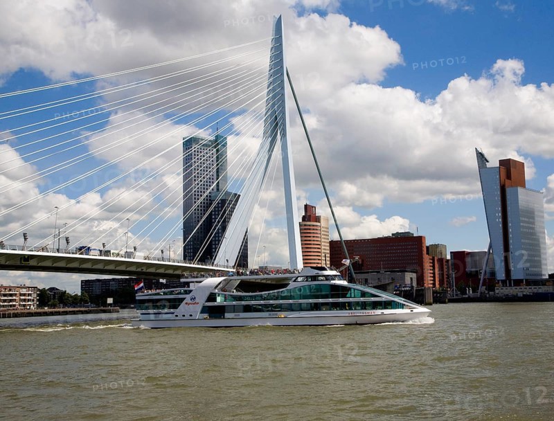 Erasmusbrug, Erasmus Bridge, spanning the River Maas, Rotterdam, Nethrlands