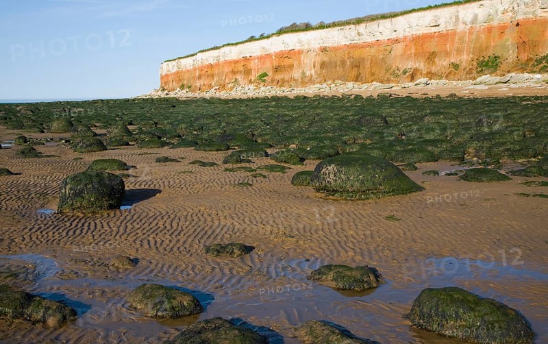 Chalk, red chalk and carstone form striped cliffs of white, red and orange at Hunstanton, Norfolk, England, United Kingdom, Europe