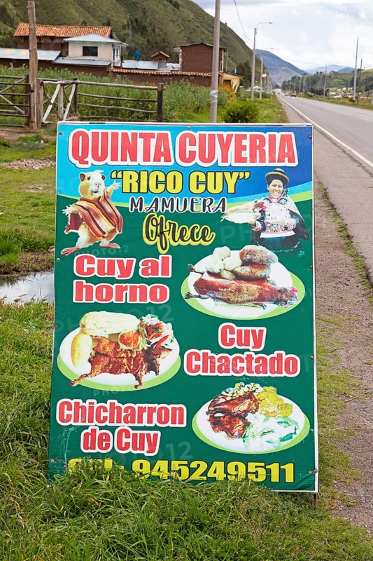 Billboard for a traditional cuyeria or guinea pig restaurant, Marangani, Canchis province, Cusco region, Peru, South America