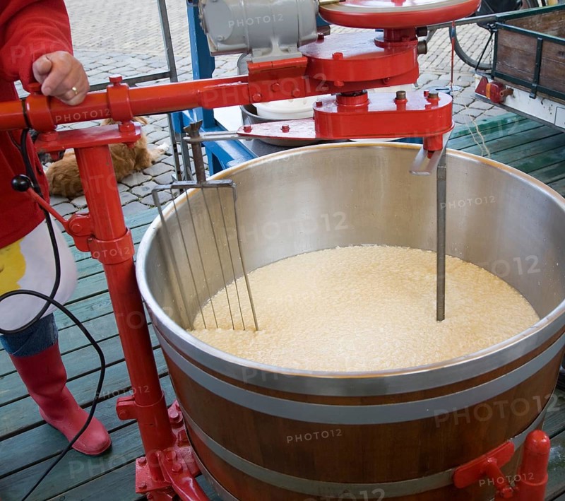 Gouda and cheese market, South Holland, Netherlands