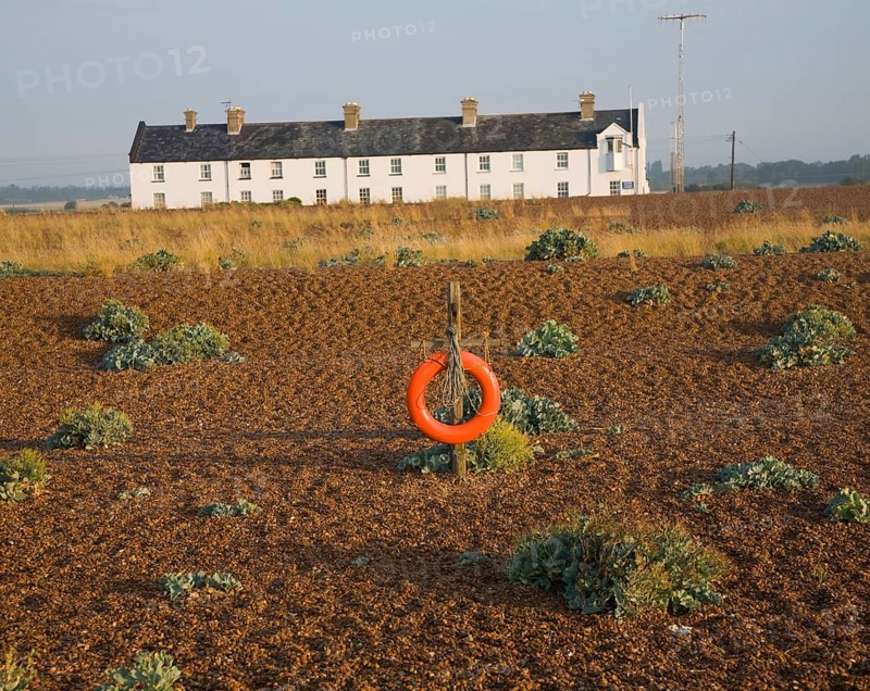 Row of white houses, Coastguard Cottages, at Shingle Street, Suffolk, England, United Kingdom, Europe