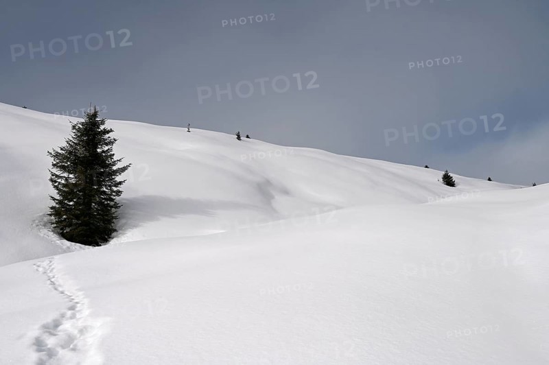 Winter landscape in the Beverin nature park Park, Graubuenden, Switzerland, Europe