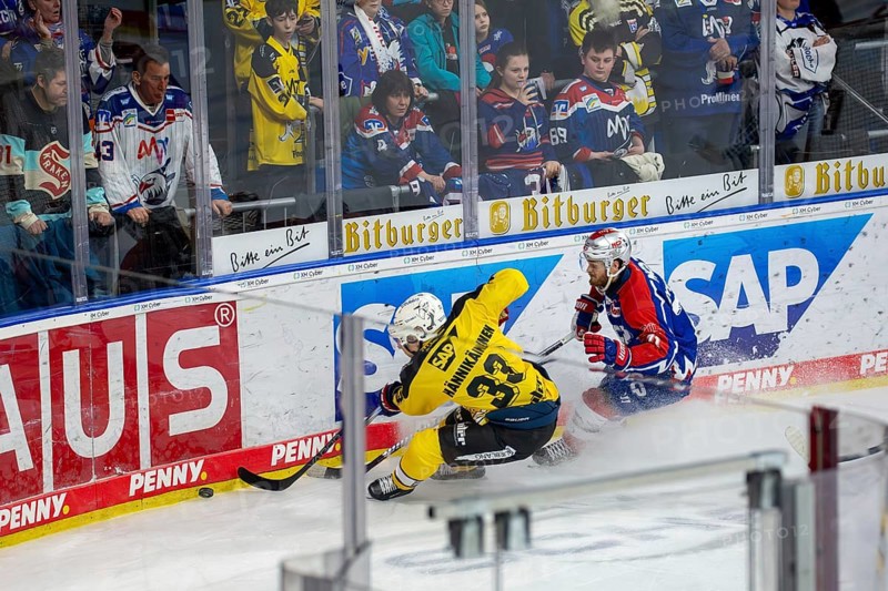 23.02.2024, DEL, German Ice Hockey League, 48th matchday) : Adler Mannheim (yellow jerseys) against Nuremberg Ice Tigers (blue jerseys) . Markus Haennikaeinen (33) claims the puck at the boards