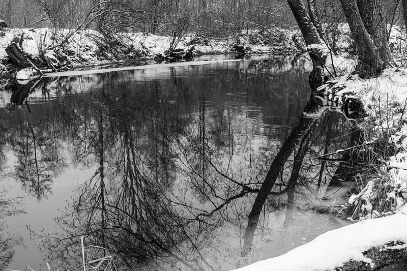 Sapina River and the riparian forest, the swamp, partially reflecting in the slowly flowing water, seen in mid-winter, during the early, January thaw, with some snow on the ground and barren trees, chiefly common alders around. Monochrome, greyscale photograph. Sapina Valley near the Stregielek village in the Pozezdrze Commune of the Masurian Lake District. Wegorzewo County, Warmian-Masurian Voivodeship, Poland, Europe