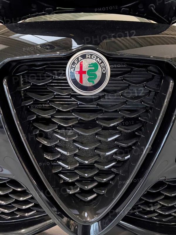 Radiator grille Scudetto with coat of arms emblem Logo of Alfa Romeo with parts of coat of arms of Duchy of Milan Milano cross snake, international
