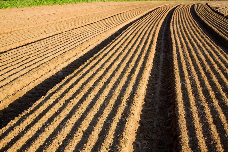 Patterns in soil prepared for sowing crops, Alderton, Suffolk, England, United Kingdom, Europe