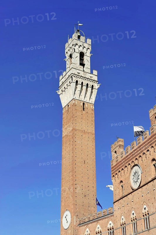 View of the Torre del Mangia bell tower, Siena, Tuscany, Italy, Europe