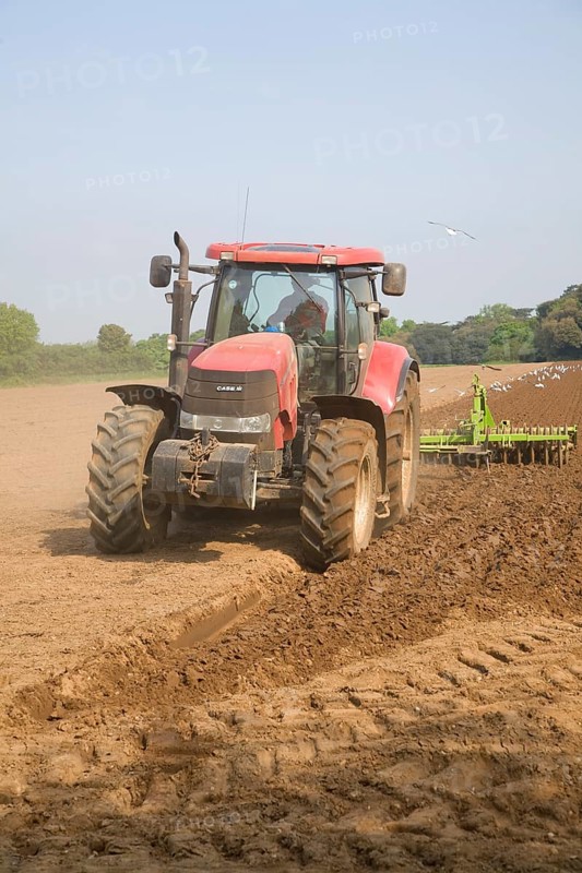 Tractor harrowing soil in field in preparation for planting, Shottisham, Suffolk, England, United Kingdom, Europe